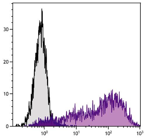 Anti-Ly6A/E (PE), clone D7