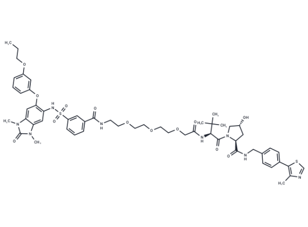 dTRIM24