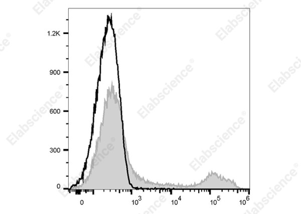 PE Anti-Rat CD71 Antibody[OX-26]