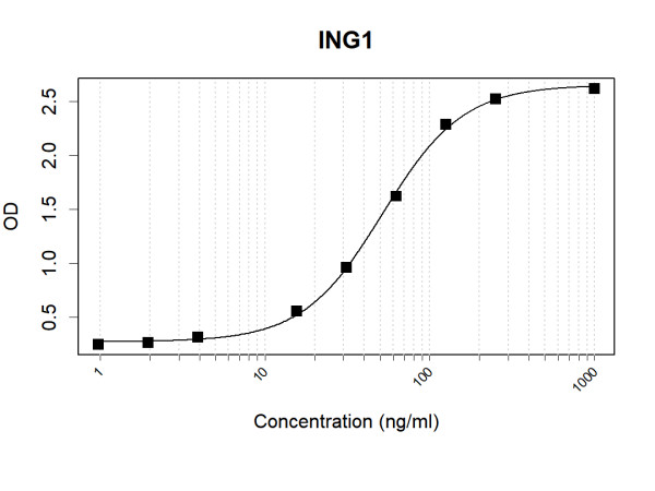 Anti-Human ING1 Antibody Pair