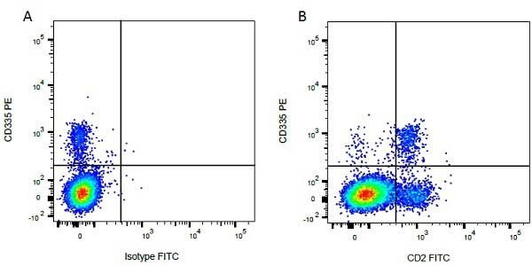 Anti-NCR1 (RPE), clone AKS1