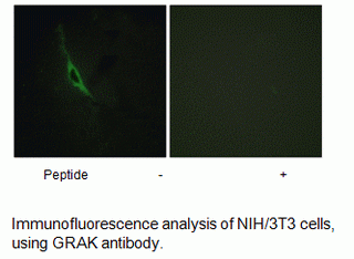 Anti-GRAK