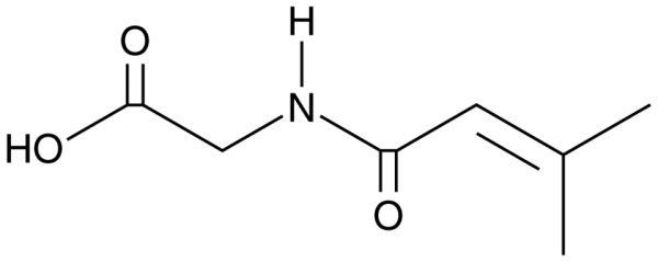 3-Methylcrotonyl Glycine