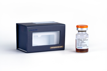 CytoSinct(TM) TCR alphabeta Nanobeads, human (GMP)