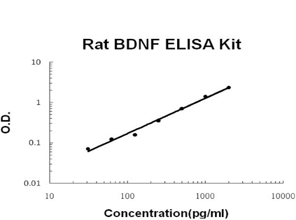 Rat BDNF ELISA Kit