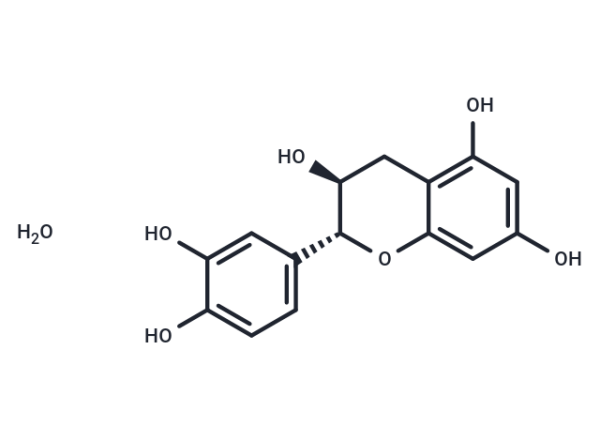 (+)-Catechin Hydrate