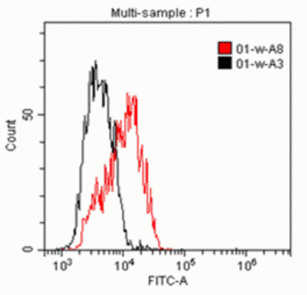 Anti-IL1RAP (human), Unconjugated Clone B-L43