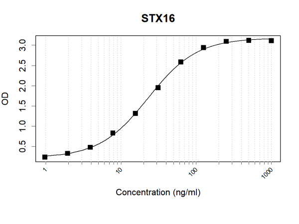 Anti-Human STX16 Antibody Pair