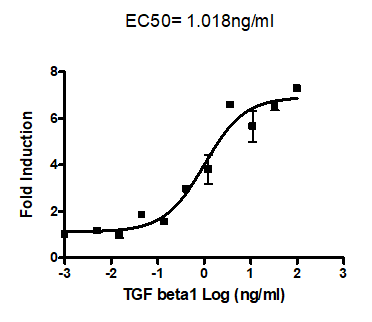 PAI-1 Reporter (Luc) - Mv1 Lu Cell Line