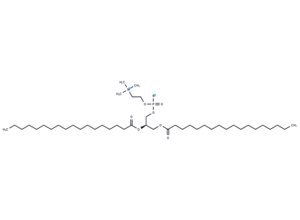 1,2-Distearoyl-sn-glycero-3-phosphorylcholine