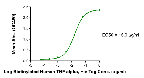 TNFR2/CD120b/TNFRSF1B, His, Human