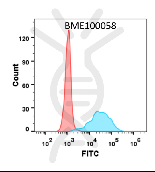 Anti-TNFSF11 (denosumab biosimilar)mAb