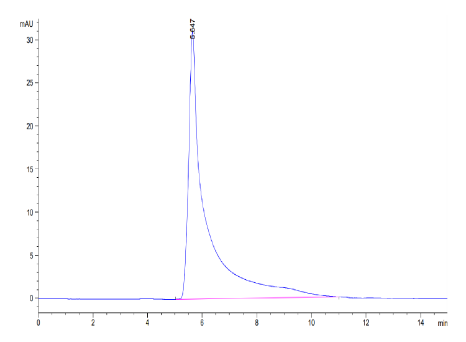 CCL5 hFc Chimera, Mouse