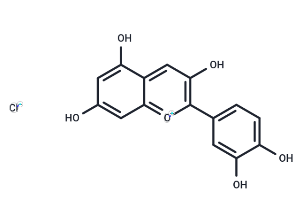 Cyanidin Chloride