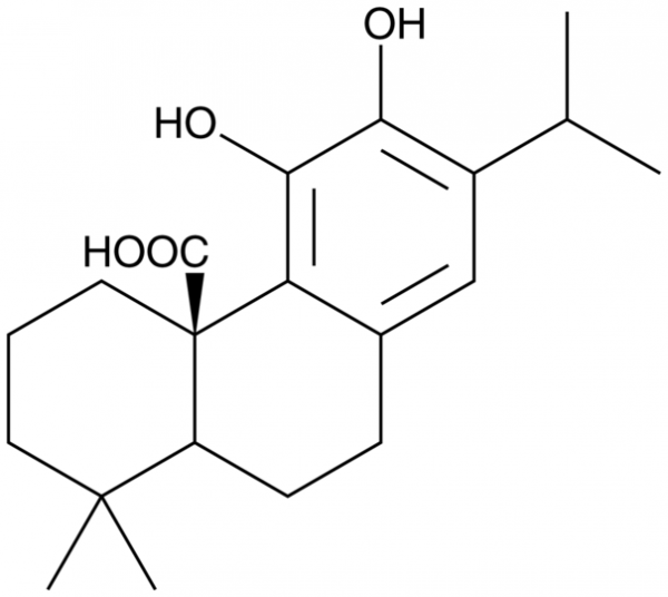 Carnosic Acid