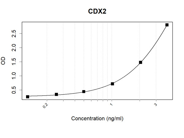 Anti-Human CDX2 Antibody Pair