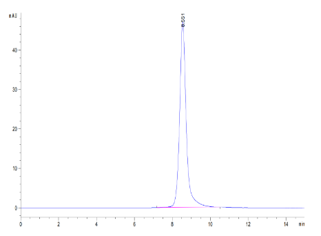 IL-5 R alpha/CD125, His &amp; Avi, Human
