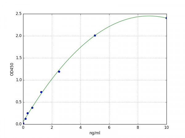 Human CYP2C19 / Cytochrome P450 2C19 ELISA Kit