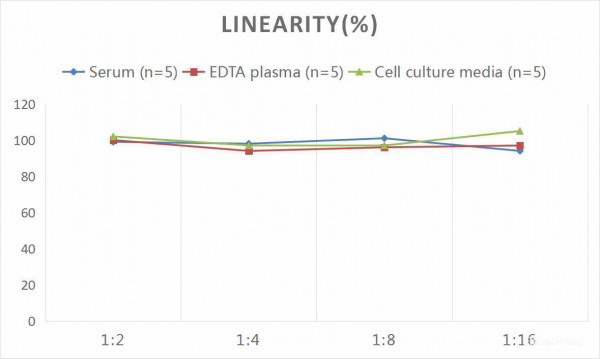 Human COL5alpha2 (Collagen Type V Alpha 2) CLIA Kit