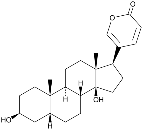 Bufalin