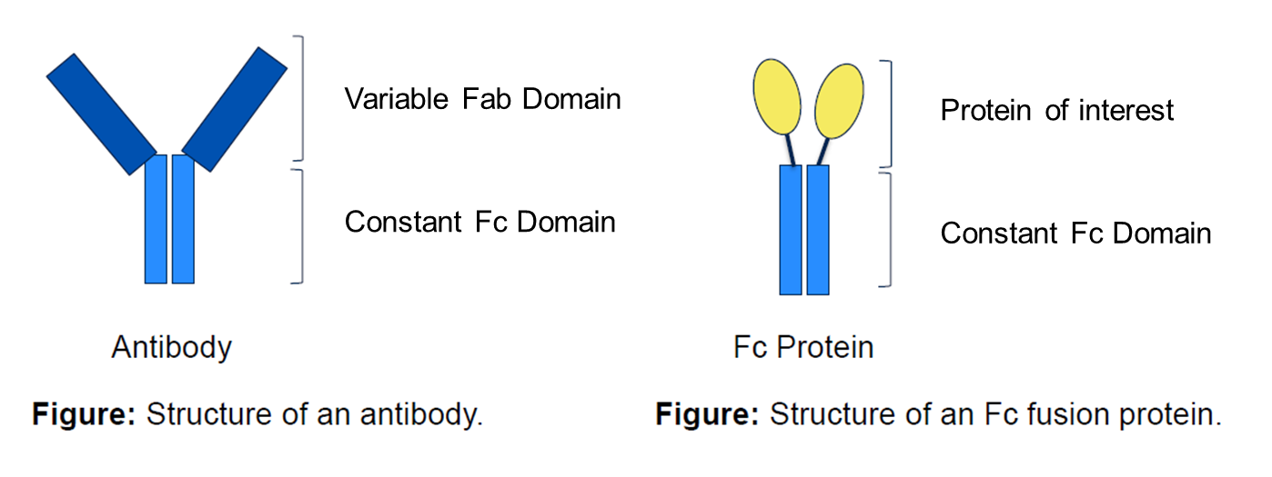 InVivoKines_Figure_1
