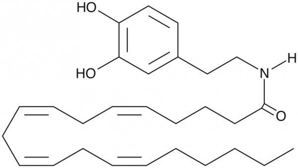 N-Arachidonoyl Dopamine