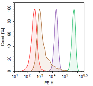 CD38 CHO Recombinant Cell Line (Medium Expression)