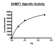 EHMT1 (GLP), human recombinant protein