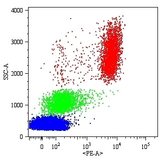 Anti-CD16, clone MEM-154 (PE)