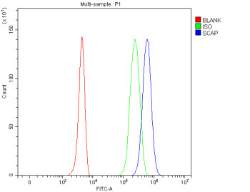 Anti-SCAP / SREBP cleavage-activating protein