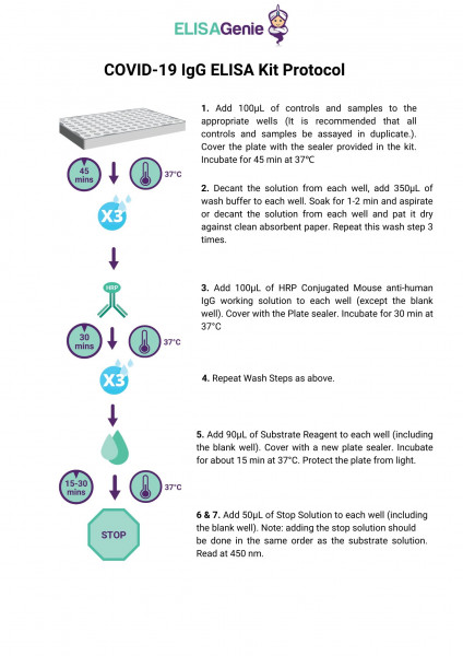 COVID-19 (IgG) ELISA Kit