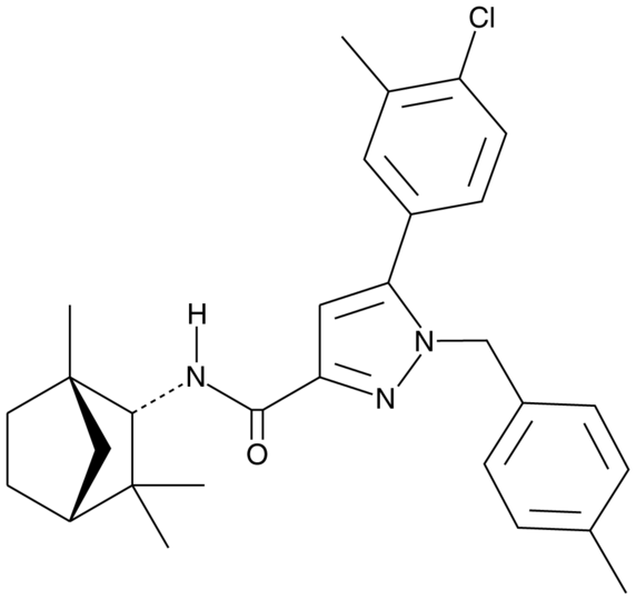 SR 144528