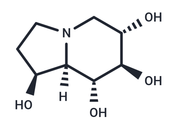 Castanospermine