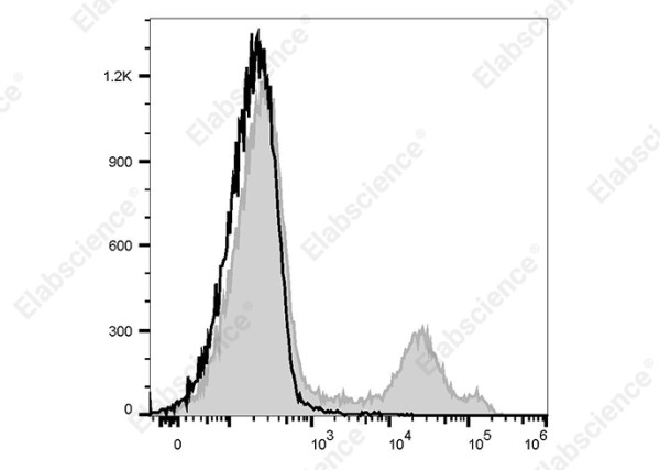 FITC Anti-Rat CD71 Antibody[OX-26]