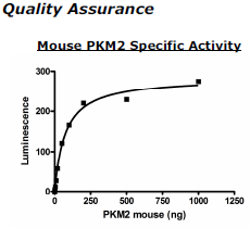 Mouse PKM2, His-tag