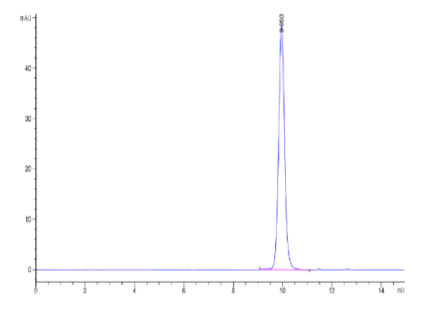 IL-1 alpha/IL-1A[Biotin], His &amp; Avi, Human