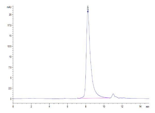 Mouse ARTN Protein