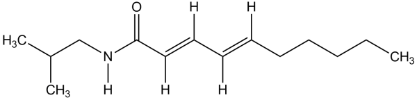 Pellitorine