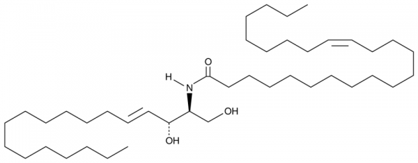 C24:1 Ceramide (d18:1/24:1(15Z))