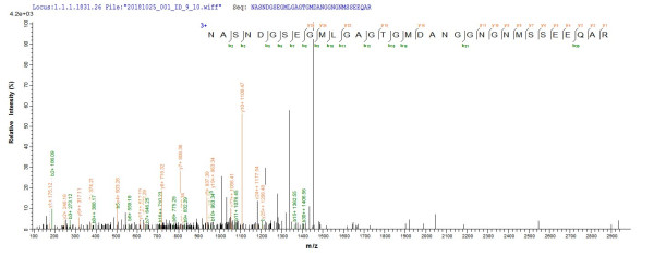 Peptidoglycan-associated lipoprotein (pal), Escherichia coli, recombinant