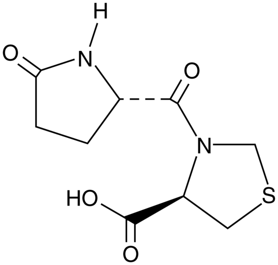 Pidotimod