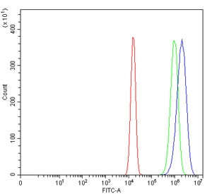 Anti-EIF3E, clone 10F5H6