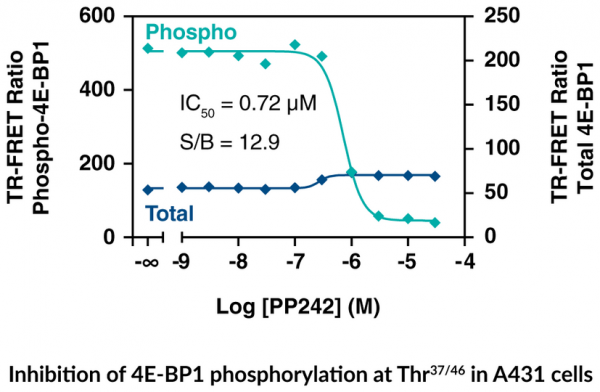 4E-BP1 (Total) and 4E-BP1 (Phospho-Thr37/46) TR-FRET Assay Kit