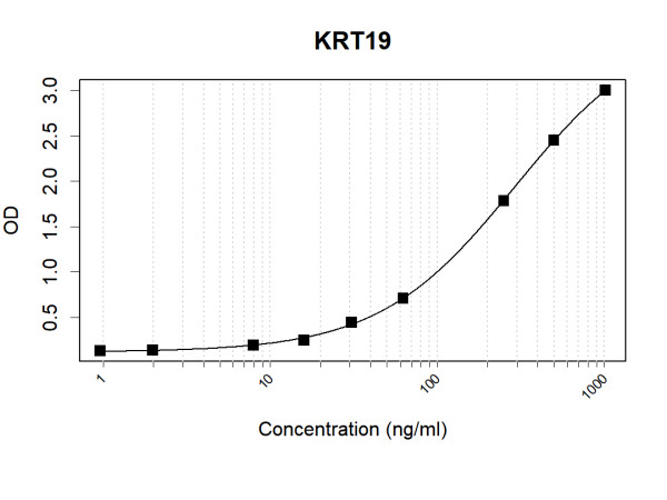 Anti-Human Cytokeratin-19 Antibody Pair
