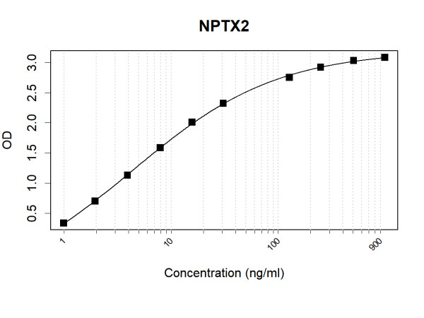 Anti-Human NPTX2 Antibody Pair