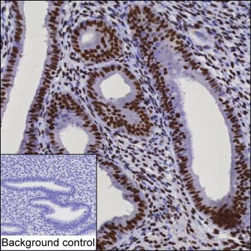 Anti-CHD4