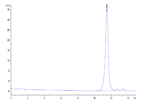 PLAU/uPA (active form), His, Human