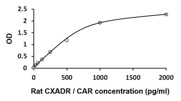 Rat CXADR / CAR ELISA Kit