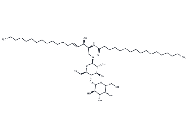 C17 Lactosylceramide (d18:1/17:0)