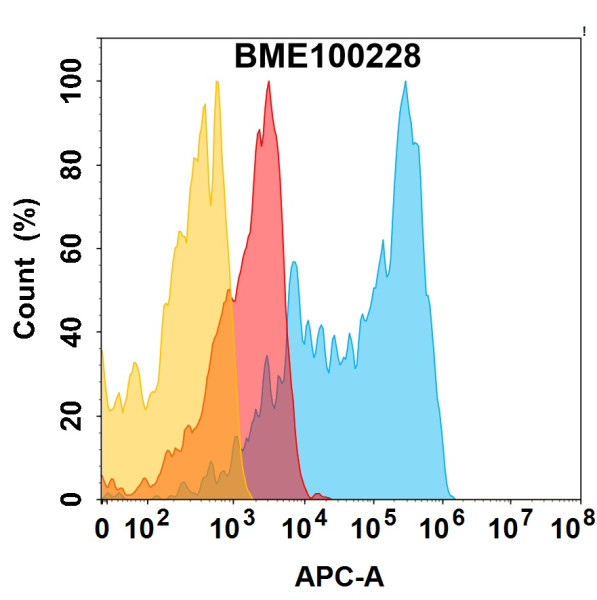 Anti-ACVR2B(bimagrumab biosimilar) mAb